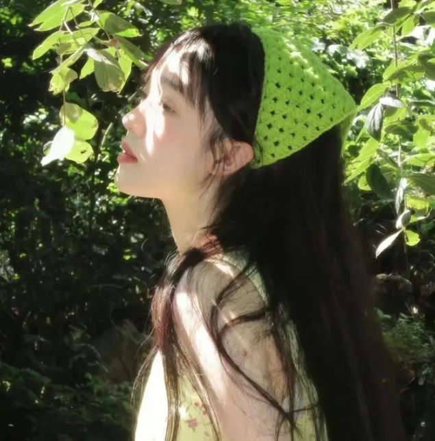 纳粹追凶